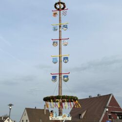 Maibaum Wallerstein