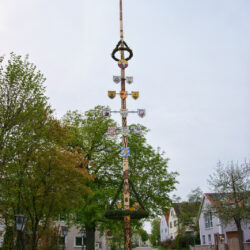 Maibaum Pfäfflingen