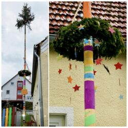 Maibaum der Kita Sternschnuppe