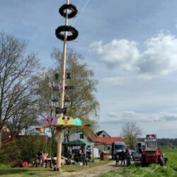 Kirmes- Maibaum Bergbronn