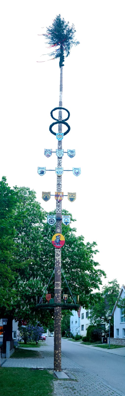 Maibaum Pfäffle