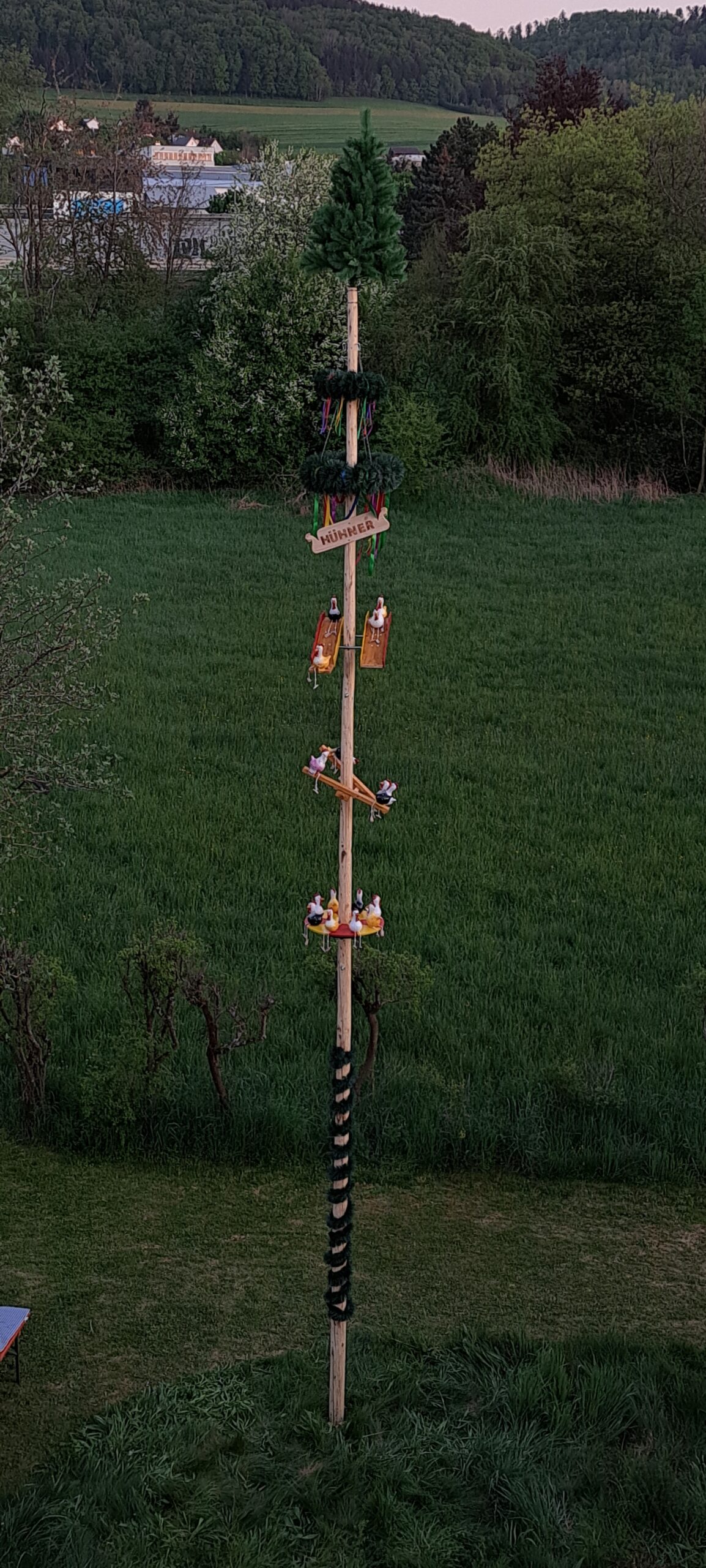 HÜHNERLESBAUM