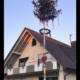 Maibaum Fabienne Unterschneidheim