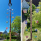 Maibaum Löpsingen